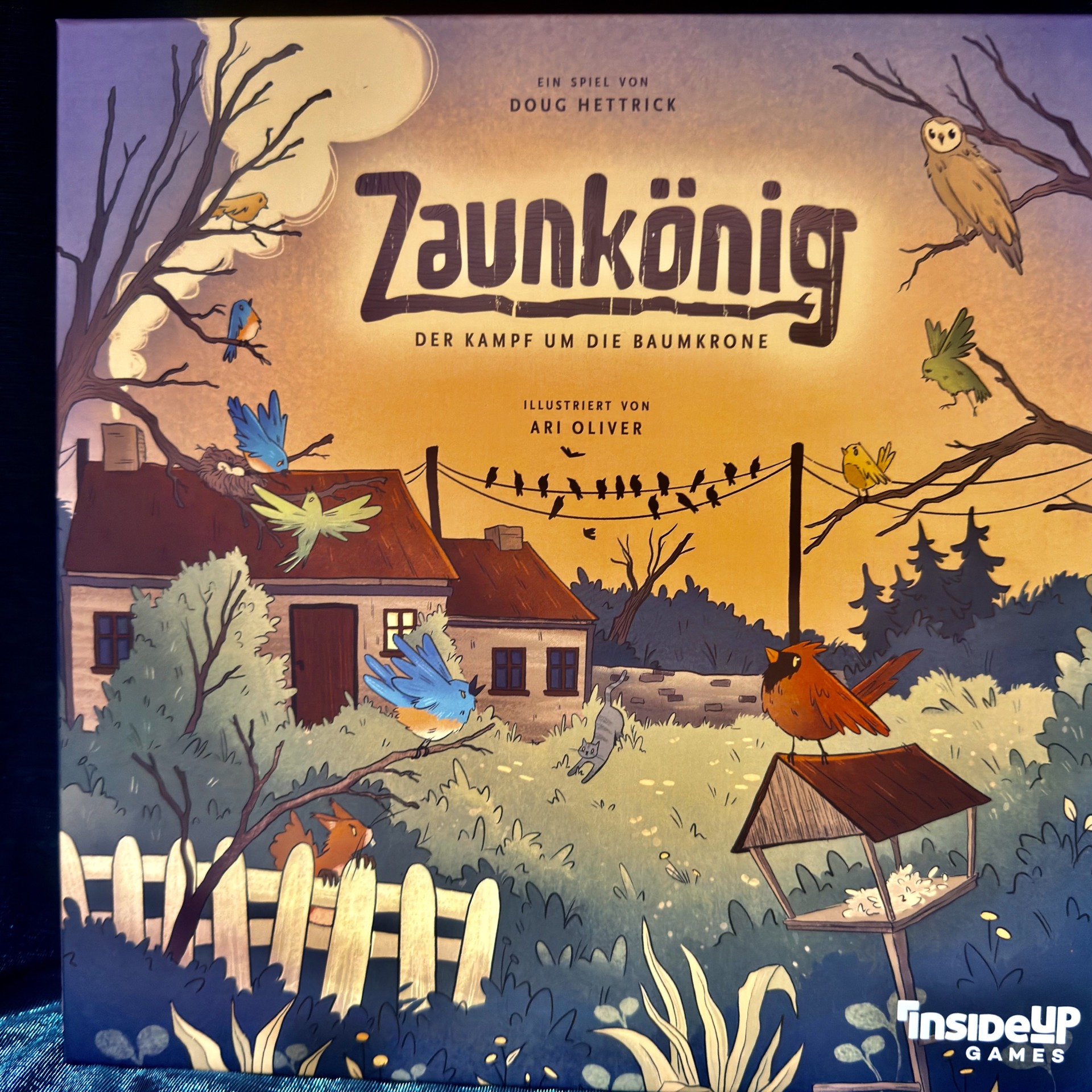 Zaunkönig
